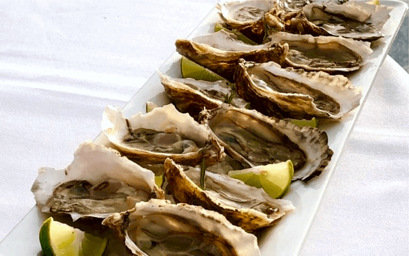 rp-vacations-las-palmas-resort-gastronomy-delight-image-2